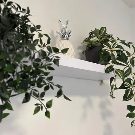 Helle Gemuetliche 3-zi-whg Mit Terrasse Und Gartenzugang Apartmán