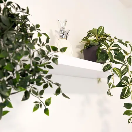 Апартаменты Helle Gemuetliche 3-zi-whg Mit Terrasse Und Gartenzugang